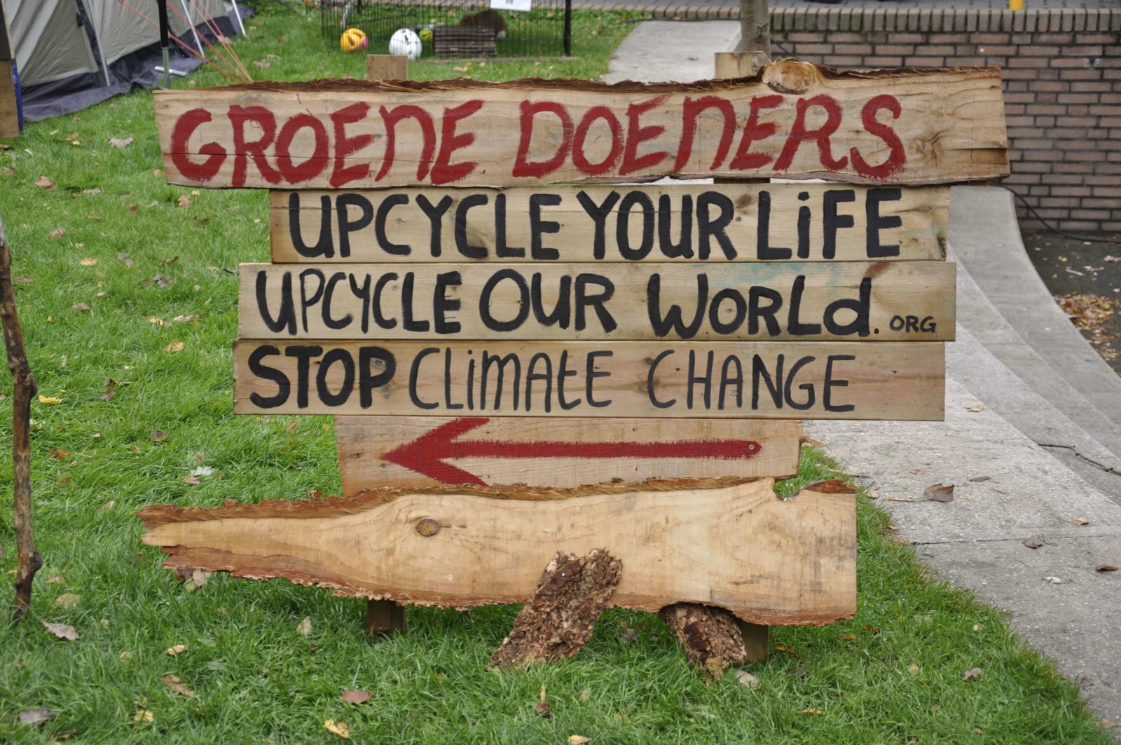 - Croco - Upcycle Your Life Woodart By Decreatievelink.nl