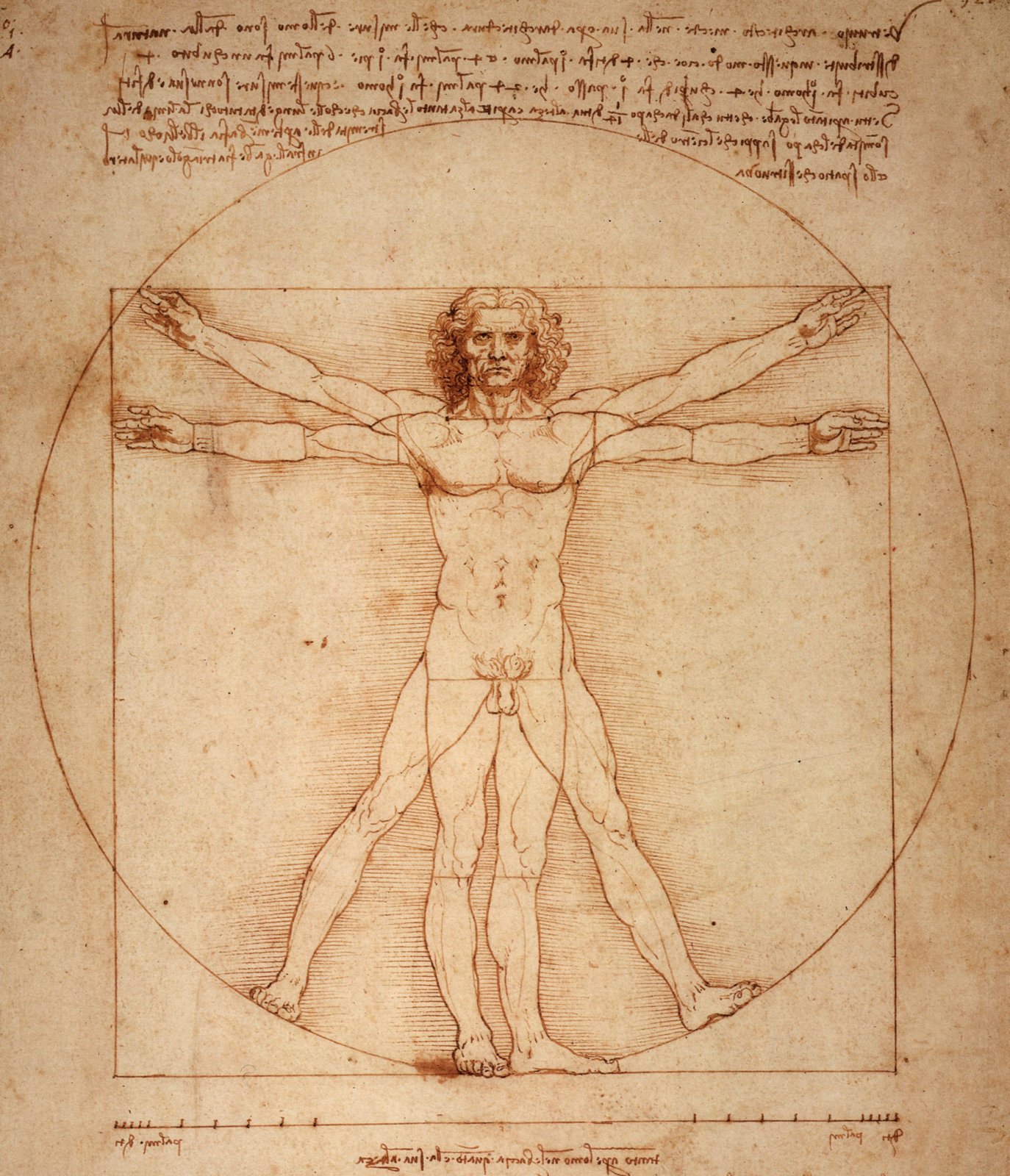 1487~ Da Vinci - Vitruvian Man