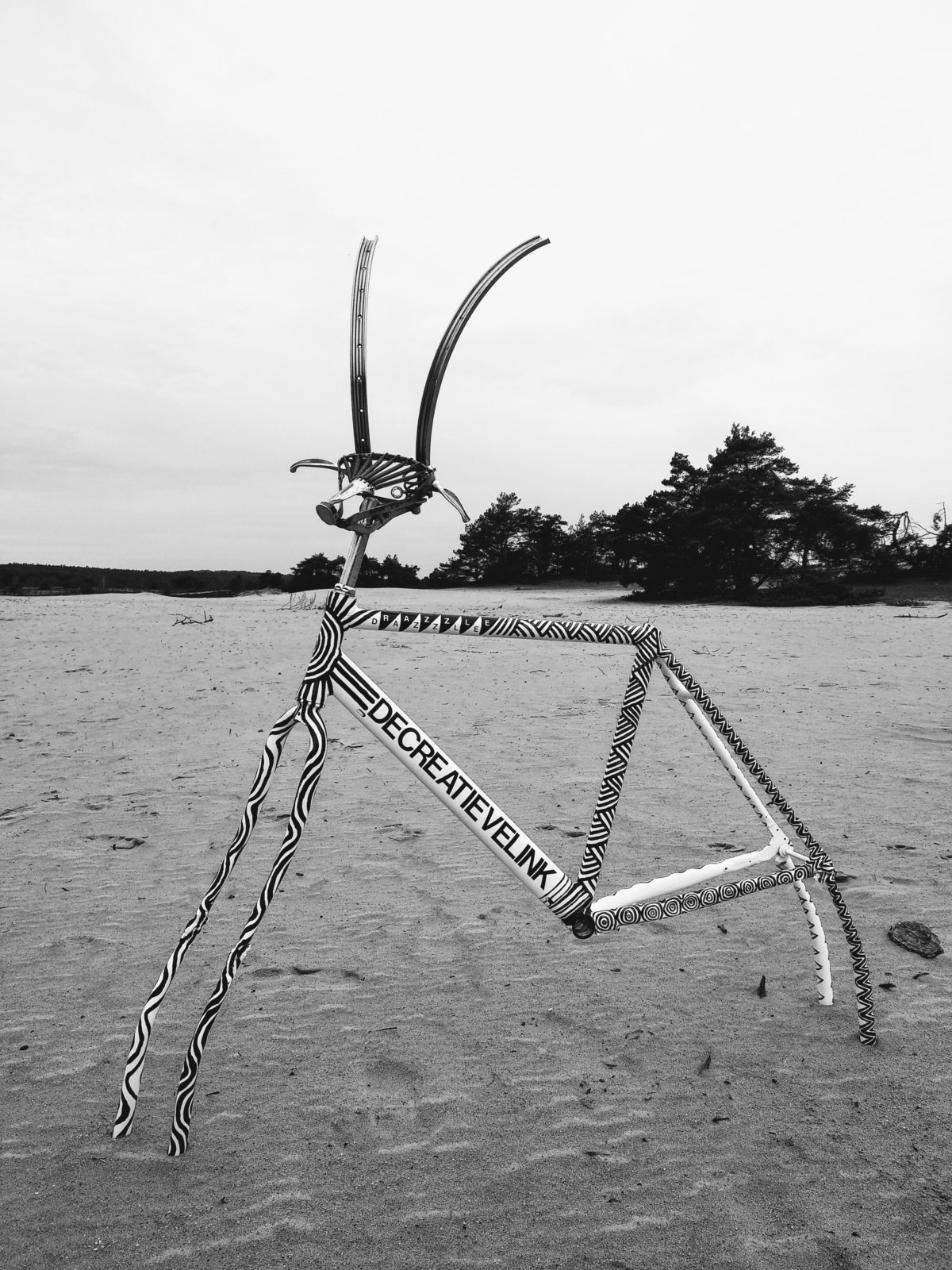 Animalized Razzle Dazzle Bicycle Art Fietskunst Decreatievelink