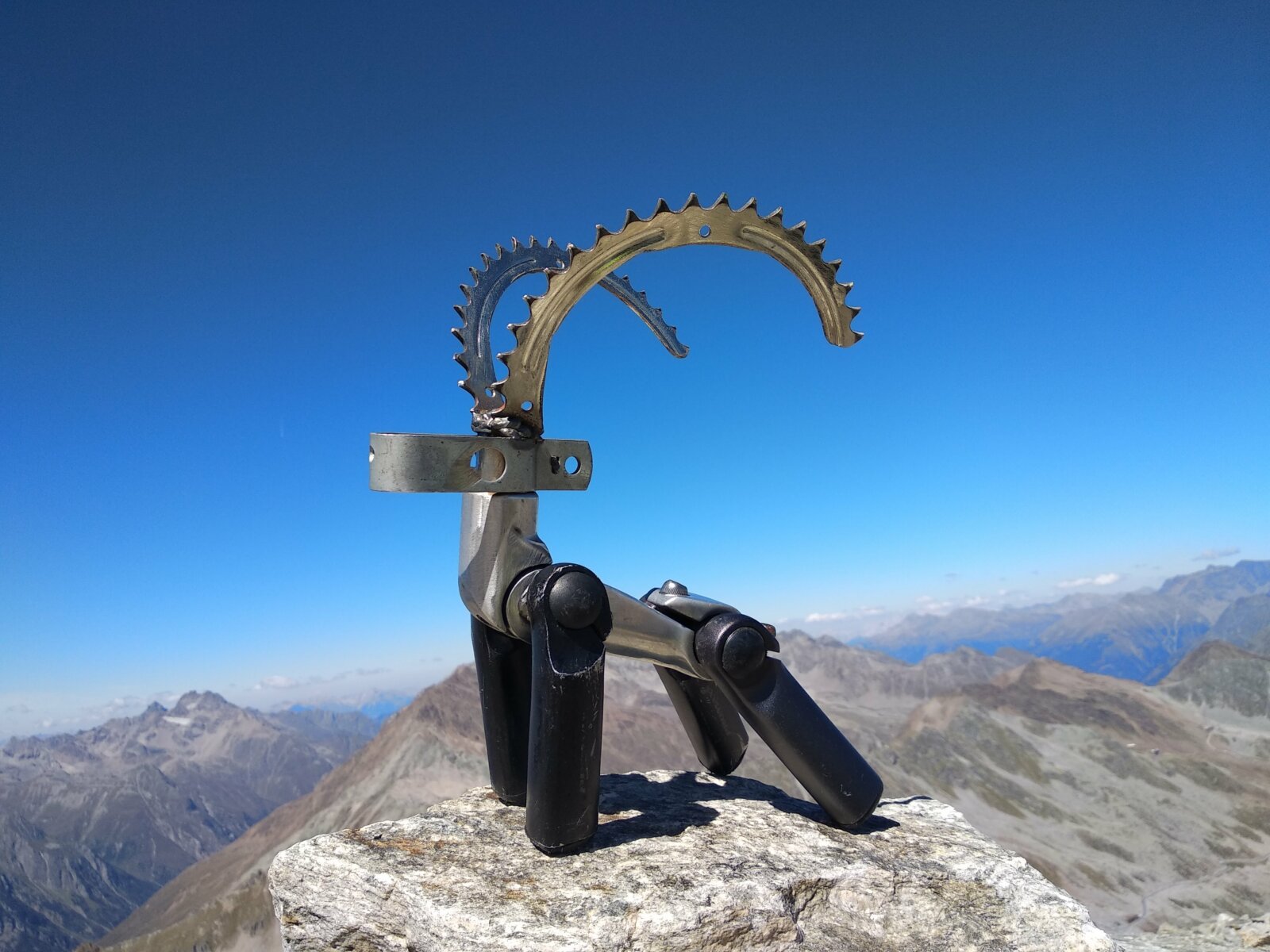 Capra Ibex Steenbok Steinbock Cyclingart Hubert Van Soest Decreatievelink Oetztal Austria