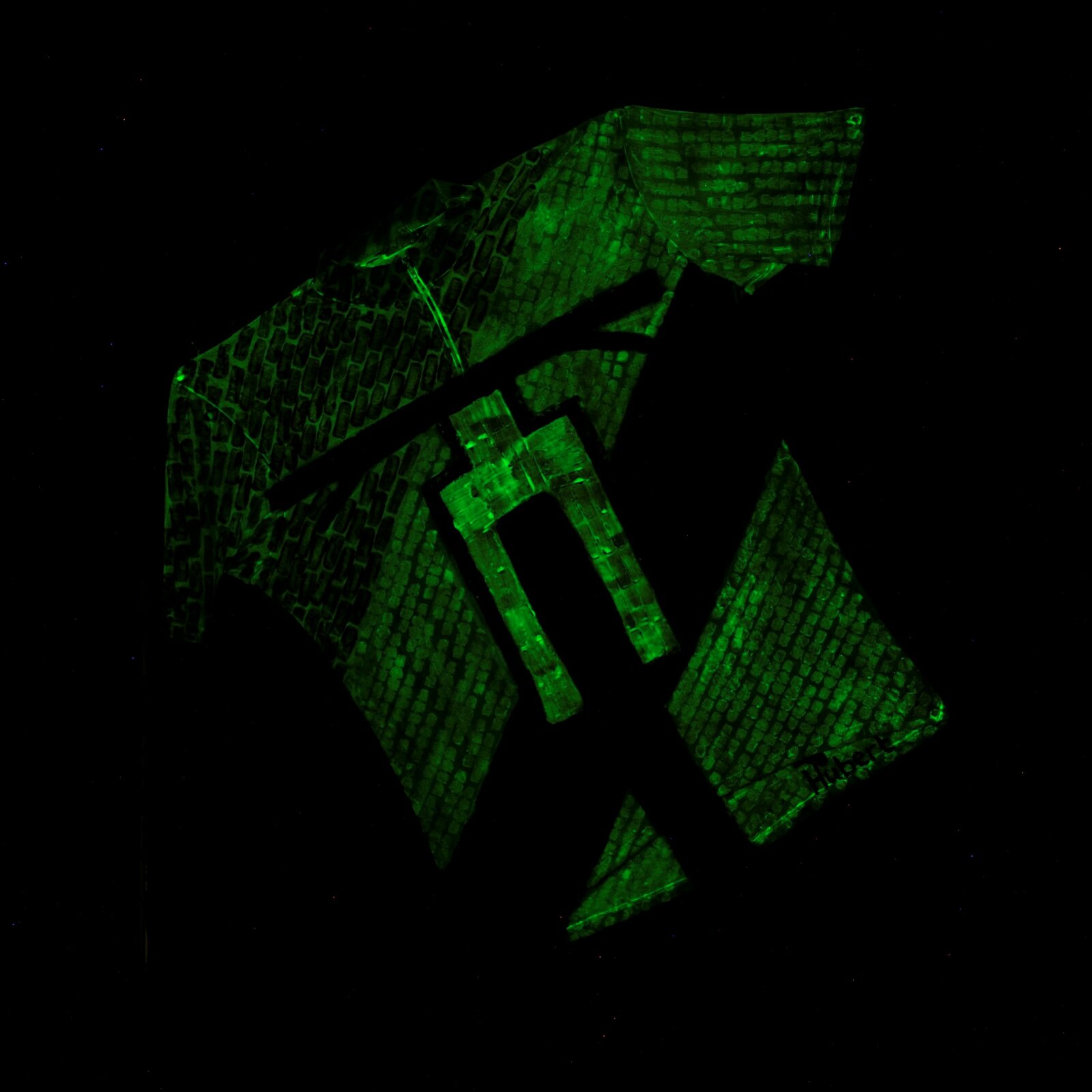 MOuntainbike Pointillisme World Champion Painting Glow In The Dark By Cyclingartist Hubert Van Soest