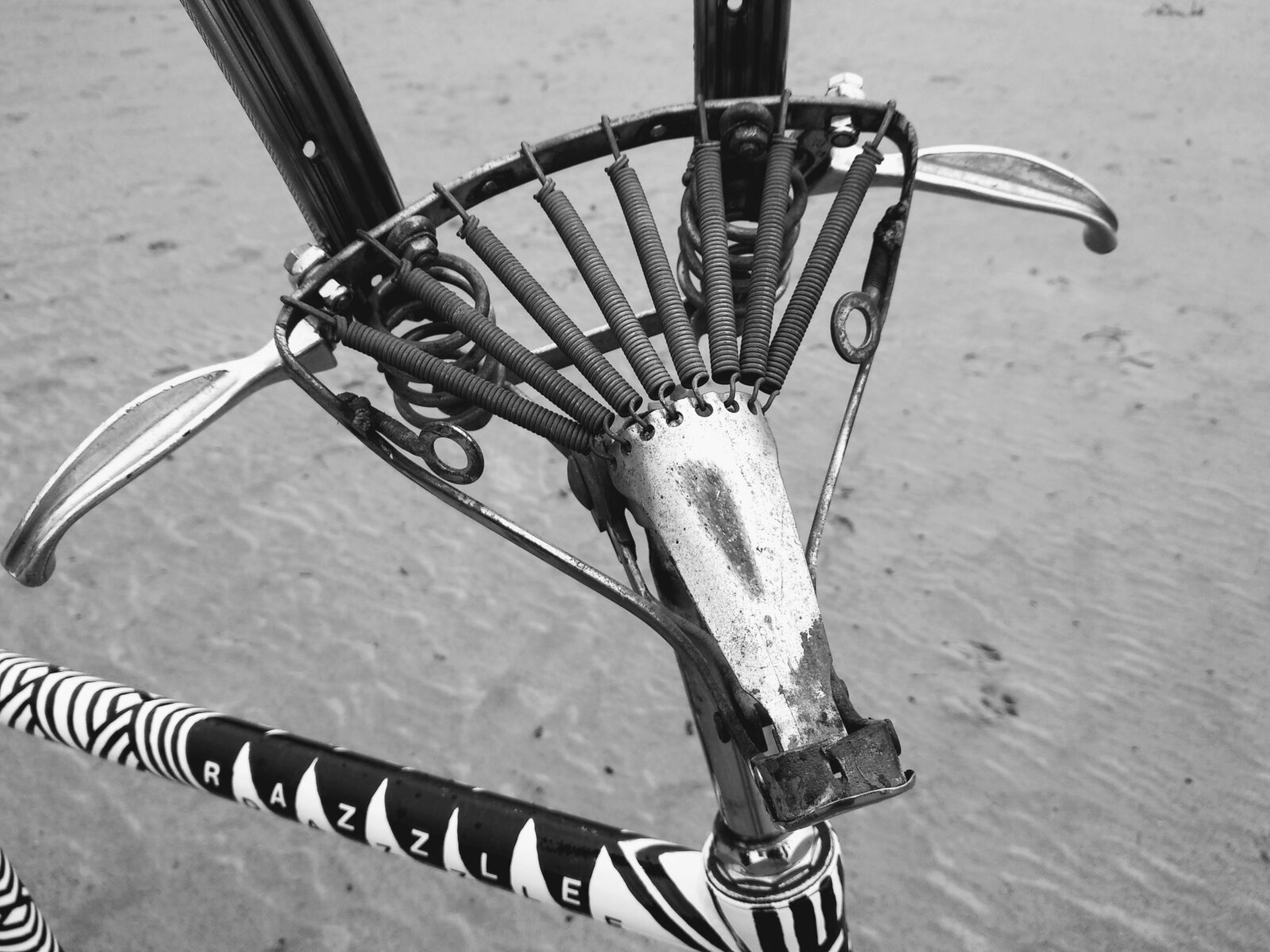 Razzle Dazzle Animalized By Decreatievelink Hubert Van Soest Bicycle Art Fietskunst