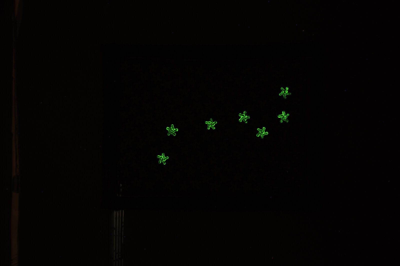 Space Invaders Or Starry Night Ursa Major Glow In The Darkness Hubert Van Soest