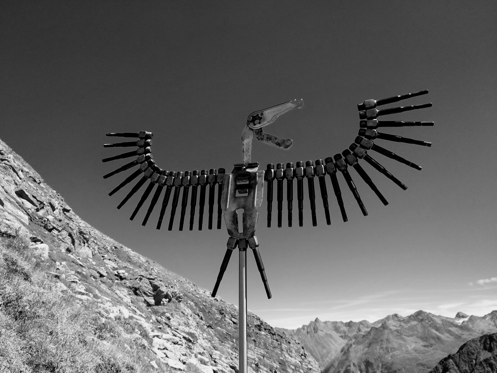 Adelaar Eagle Adler Sculpture Cyclingart Oetztal Alps Hubert Van Soest