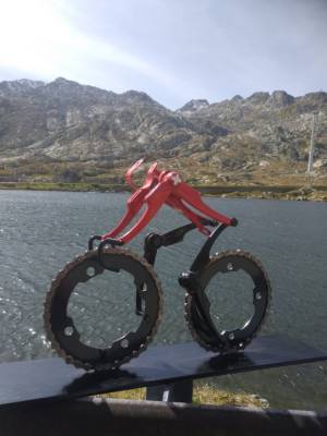 Swiss Champion Cyclist Cycling Art Decreatievelink NL