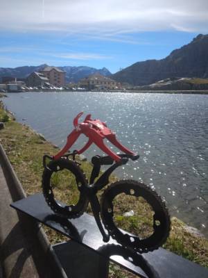 Swiss Champion Cyclist Gotthardpass Switzerland By Decreatievelink NL